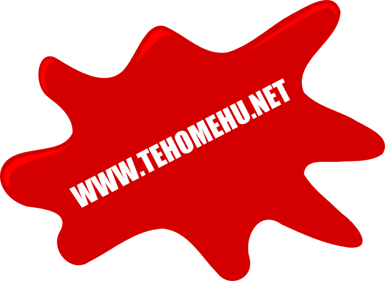 www.tehomehu.net